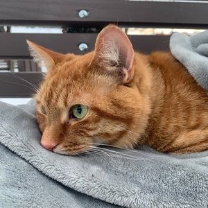 Meet your Posher, Fineen